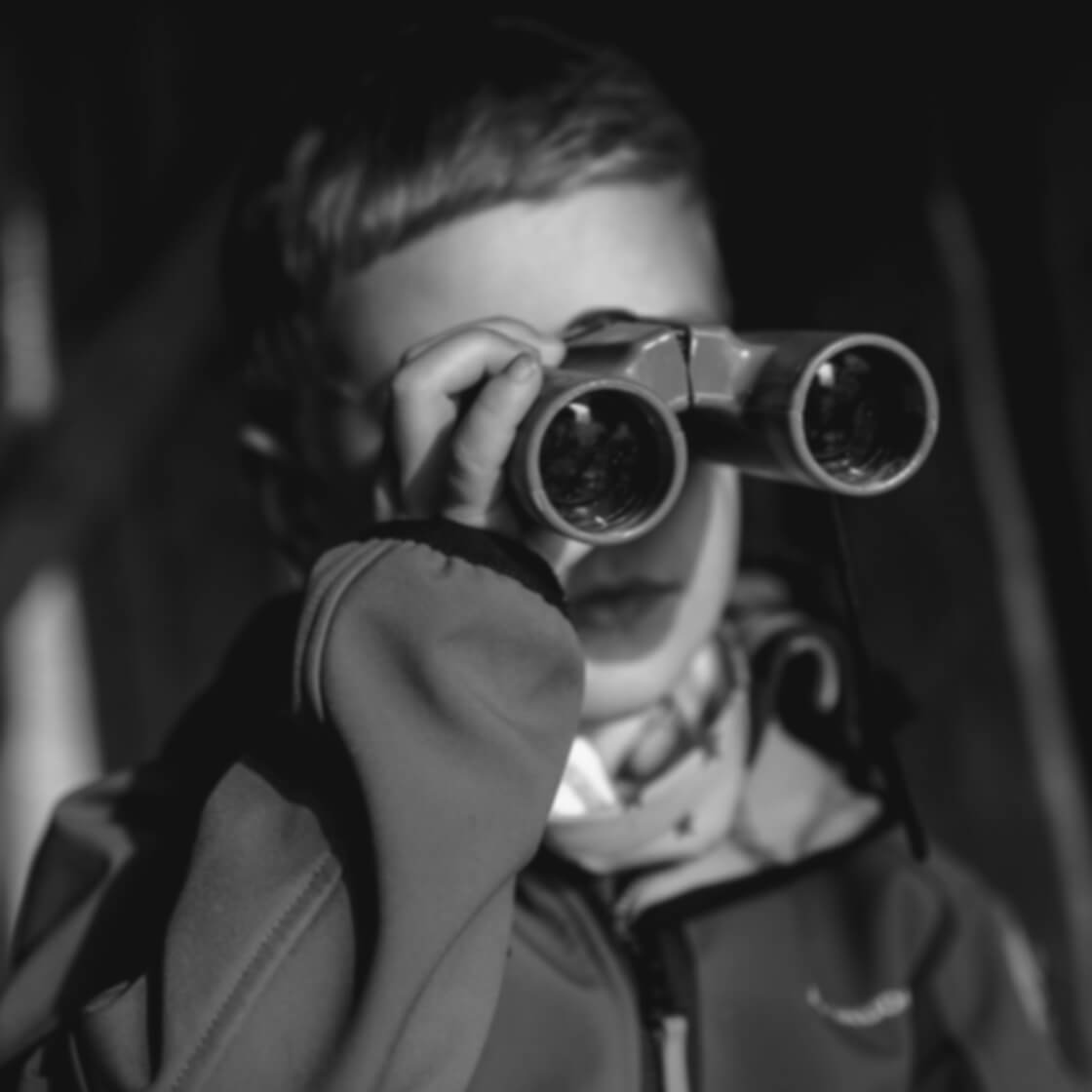 Serviço Dasein Recrutamento Executivo