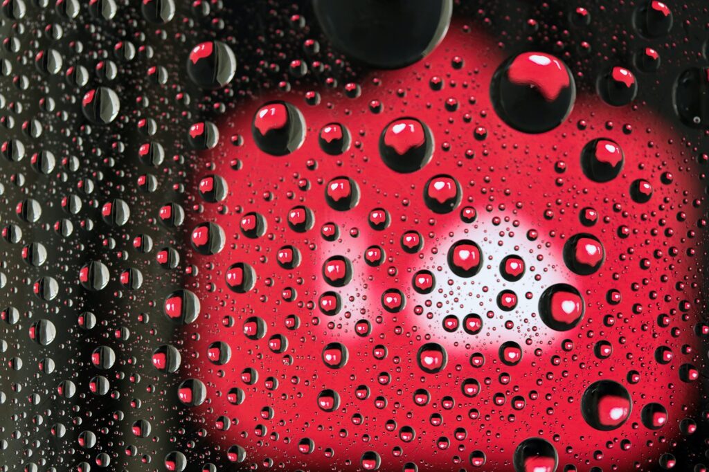 Por dentro da profissão: influencer