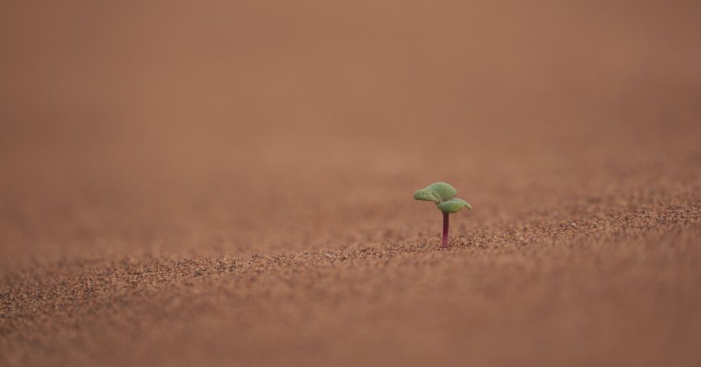 Radar executive search Brasil: mundo BANI