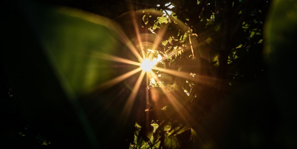 Dasein convida: Denise Eler. Série Sensemaking (artigo 3)