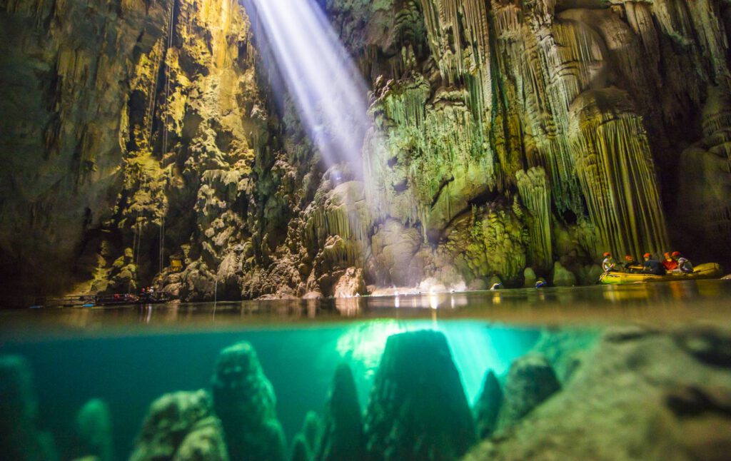 Ensinamentos da natureza e da cultura para a carreira executiva