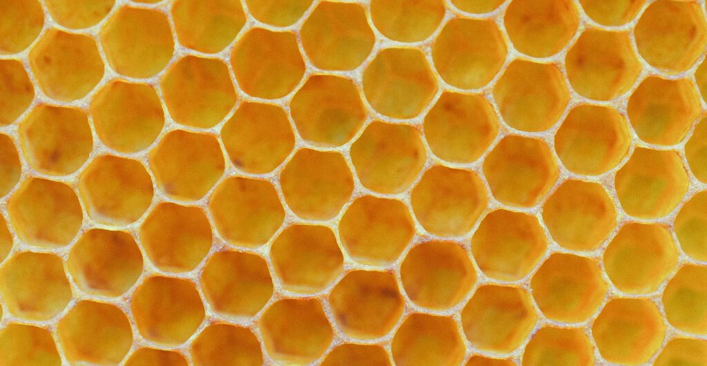 Aprendendo com: Mariana Sobreira