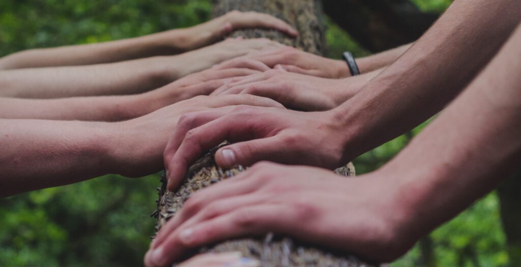 Revitalização das organizações para os novos tempos