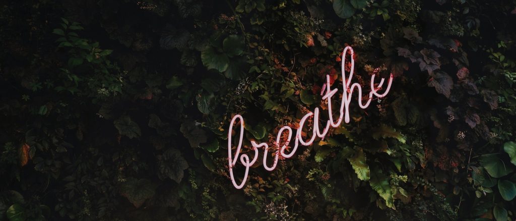 Radar executive search: sucesso em reconstrução?