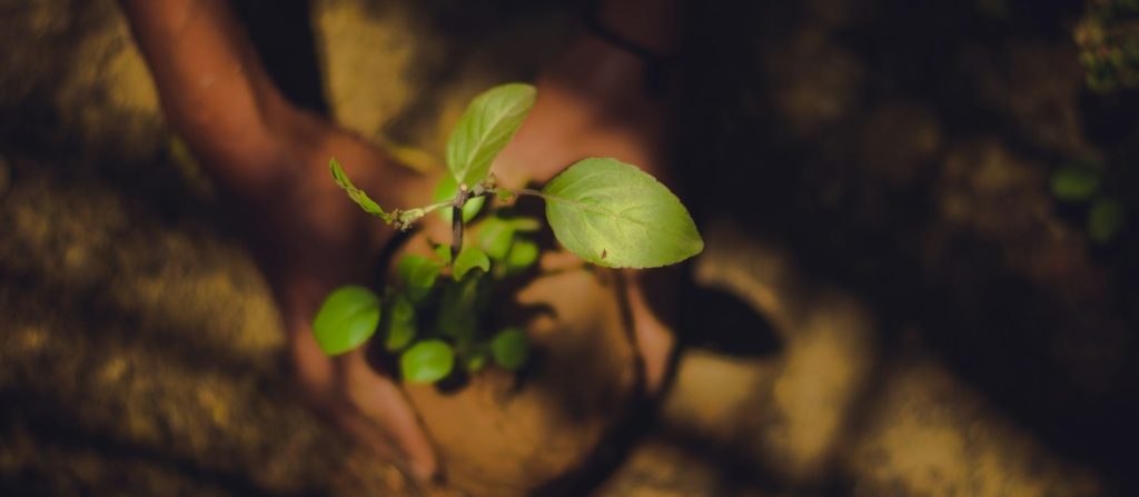 Dasein convida: Vera Lúcia Silva