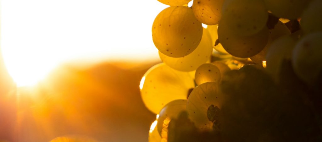 Dasein convida: Luiz Porto